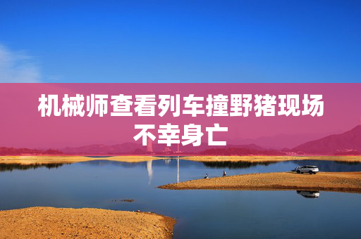 法国和美国公司将投资100亿美元在苏里南海岸开采石油