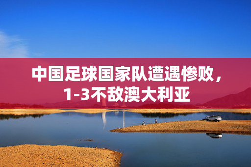 两名自称是俄罗斯人的男子出现在与基地组织有关联的组织发布的尼日尔人质视频中